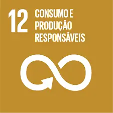 ODS 12